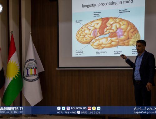 Brain and Language